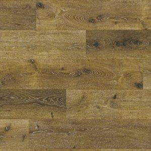 Global GEM Coastal Cockle Hickory where to buy