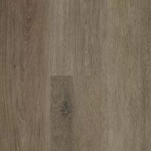 Next Floor StoneCast Wildwood Tan Oak SPC vinyl 581 009 best price