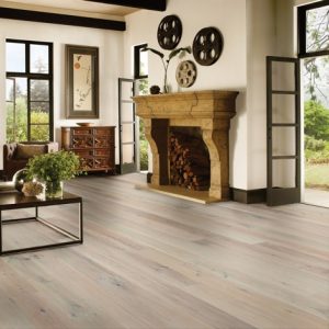 What does Platinum Winter Magic look like in my room?