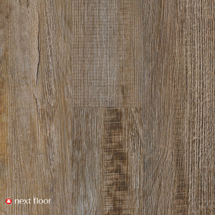 Acorn Rustic Oak - NF586705