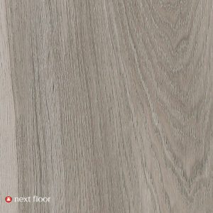 Aged Driftwood - NF586005