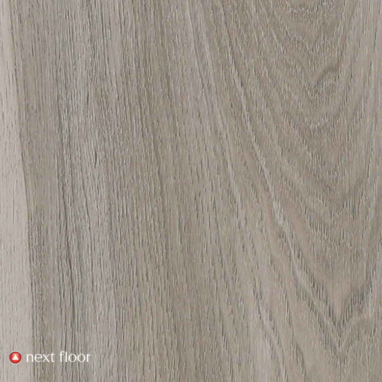 Aged Driftwood - NF586005