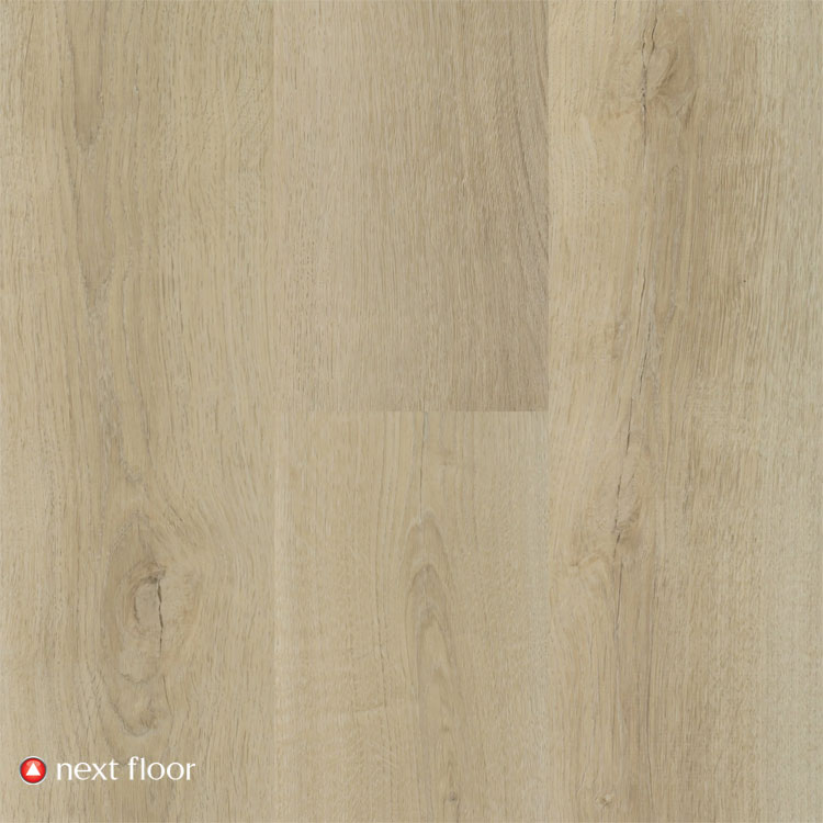 Bare Timber - NF460202