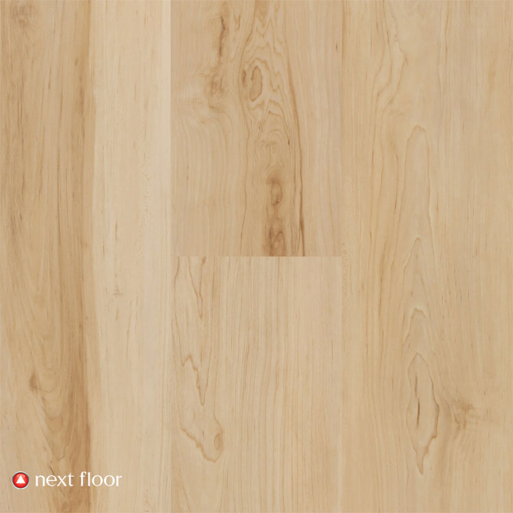 Clear Maple - NF460101