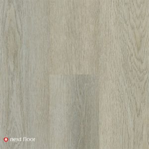 Cloudveil Oak - NF460112