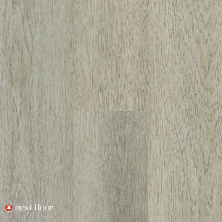 Cloudveil Oak - NF460112