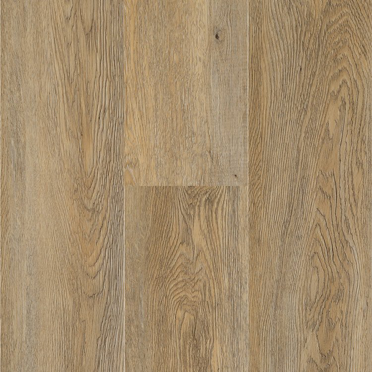 Fairview Taupe - NF586118