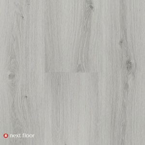 Gray Oak - NF568001