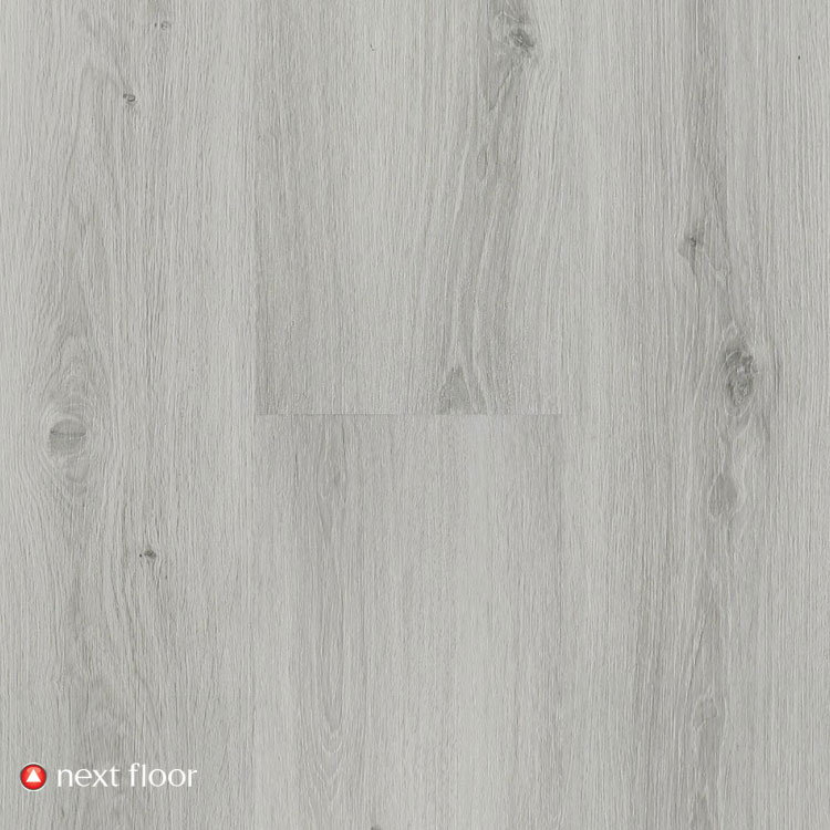 Gray Oak - NF568001