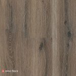 Gunstock Oak - NF568009