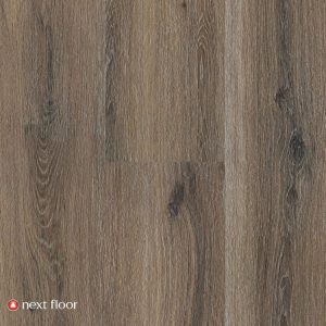 Gunstock Oak - NF568009