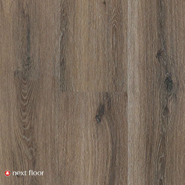 Gunstock Oak - NF568009