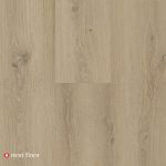 Harvest Oak - NF568017
