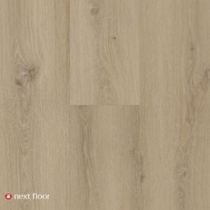 Harvest Oak - NF568017