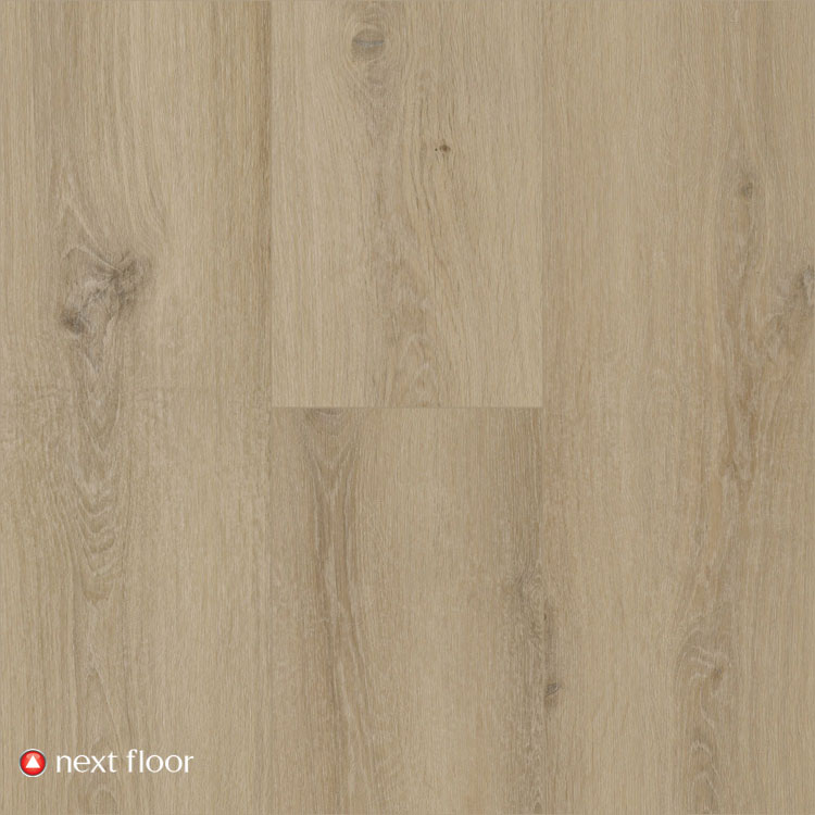 Harvest Oak - NF568017