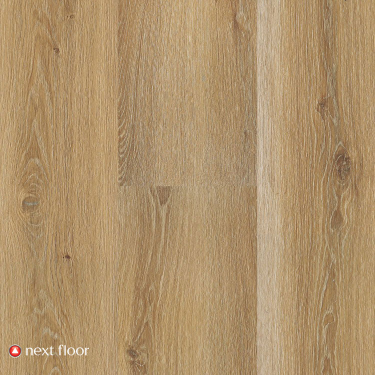 Heritage Oak - NF568008