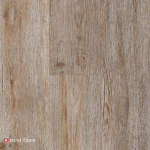 Homestead Oak - NF586713