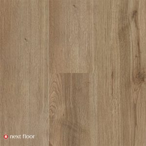 Mocha Mist - NF460120