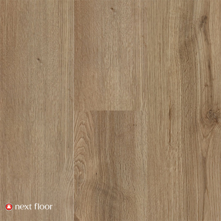 Mocha Mist - NF460120