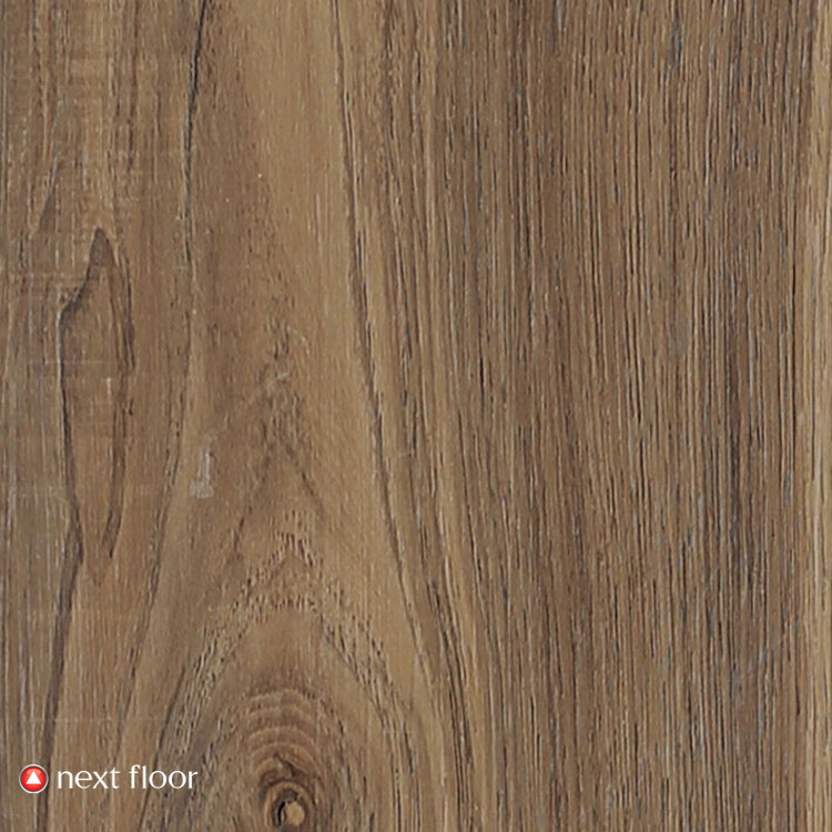 Salted Caramel - NF586043