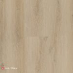 Sunlit Oak - NF568015