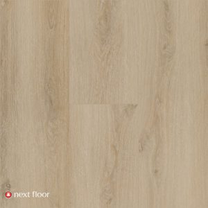 Sunlit Oak - NF568015