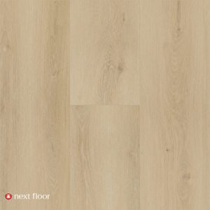 Toasted Almond Oak - NF568016